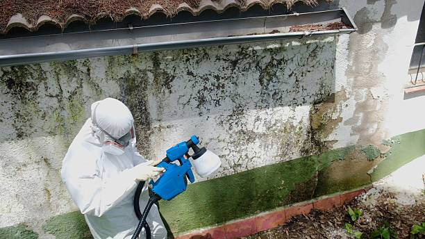 Top rated local Attic Mold Remediation specialists in Solomons, MD